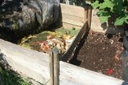 Choosing compost Choosing compost