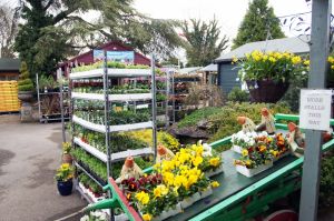 Craft & Food Fair