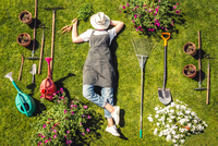 A Guide to Lawn Care in March