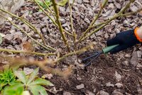 Autumn Nourishment: Why Fertilising with Compost is Essential for Your Garden
