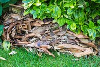 How Bark Chippings Can Help Wildlife in Your Garden This Autumn