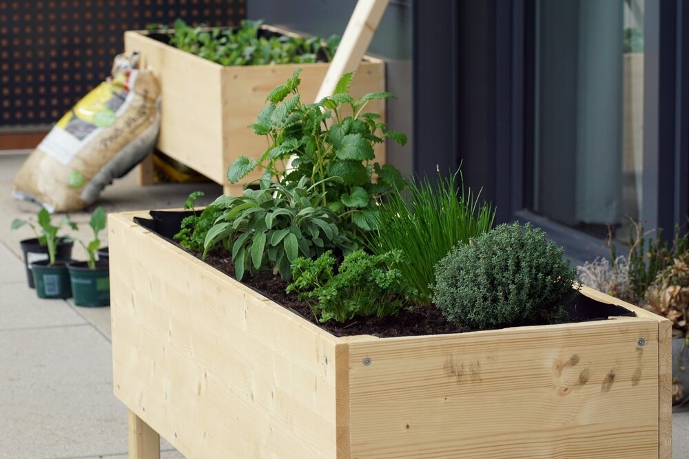How to build a raised bed Ripley Nurseries Garden Centre Farm