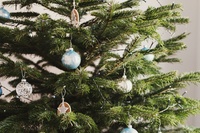 How to keep your Christmas tree fresh for longer