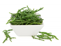 Samphire