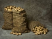 Potatoes 'may help prevent weight gain'
