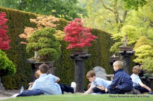 Wisley RHS May