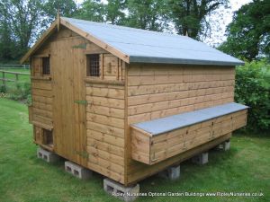 Loxwood Hen House 10X8 showing egg collection side box