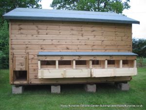 Loxwood Hen House 10X8 showing egg collection side box