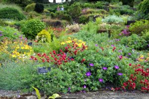 Wisley RHS June