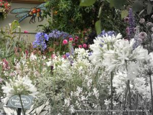 Hampton Court Show RHS