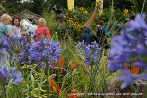 Hampton Court Show RHS