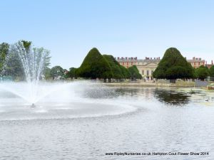 Hampton Court Show RHS