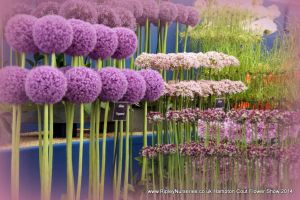 Hampton Court Show RHS