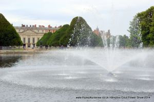 Hampton Court Show RHS