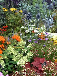 Hampton Court Show RHS