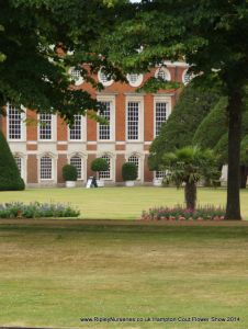 Hampton Court Show RHS