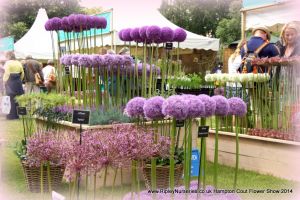 Hampton Court Show RHS