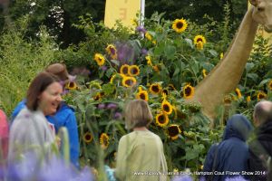 Hampton Court Show RHS