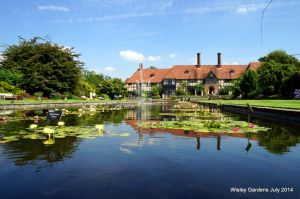 Wisley RHS July