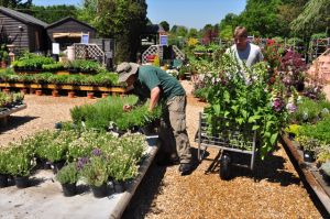 Views of the Nursery