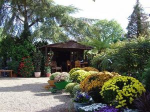 Views of the Nursery