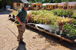 Views of the Nursery