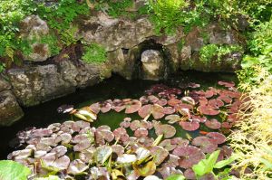 Views of the Nursery