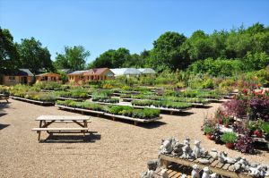 Views of the Nursery