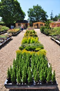 Views of the Nursery