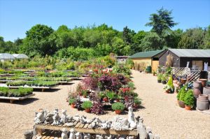 Views of the Nursery