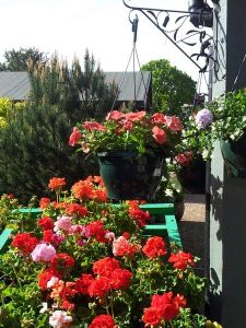 Views of the Nursery