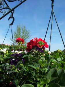 Views of the Nursery