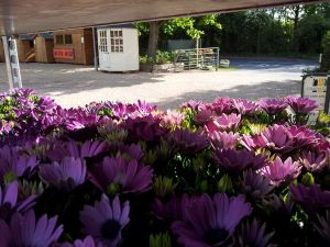 Views of the Nursery