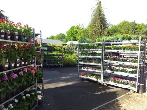 Views of the Nursery