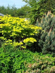 Views of the Nursery