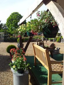 Views of the Nursery