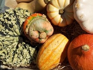 Farm Shop Produce