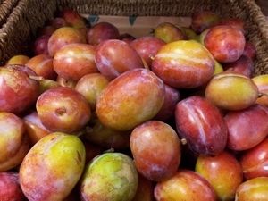 Farm Shop Produce