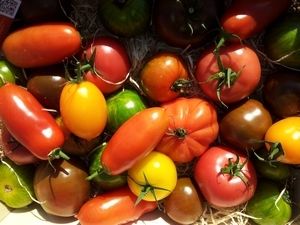 Farm Shop Produce