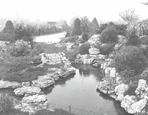 View To Car Park Coombe Wood (Veitch Nursery)