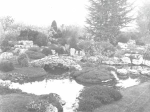 Rockery Coombe Wood Nursery Roland Luff