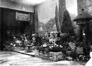 Luff's Coombe Wood nursery Exhibit 1920's