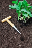 Special tools for the specialist gardener