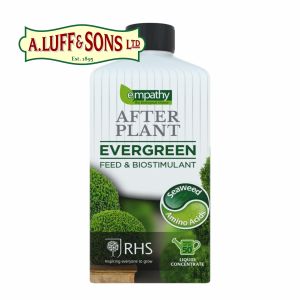 AFTER PLANT – EVERGREEN 1L - image 1