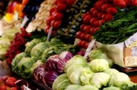 Farm Shop
