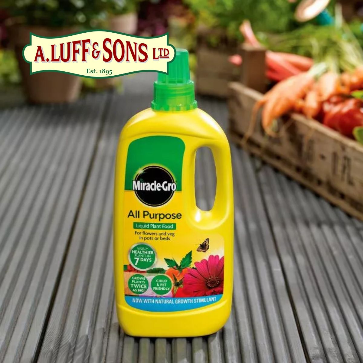 MiracleGro® All Purpose Concentrated Liquid Plant Food Ripley Nurseries Garden Centre