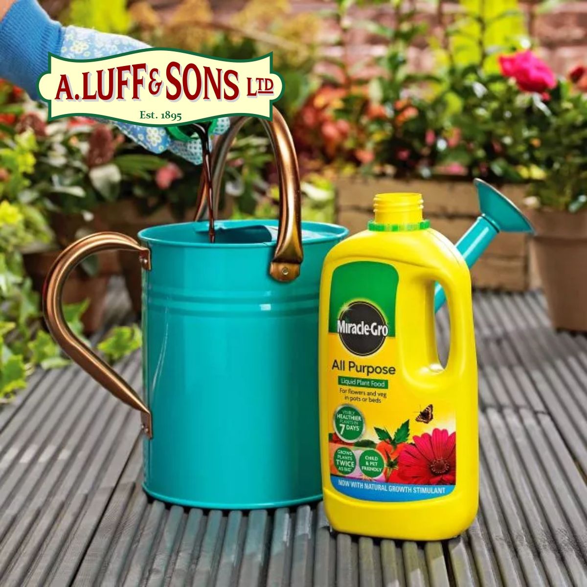 MiracleGro® All Purpose Concentrated Liquid Plant Food Ripley Nurseries Garden Centre