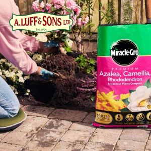 Miracle-Gro® Premium Azalea, Camellia & Rhododendron Ericaceous Compost - image 2