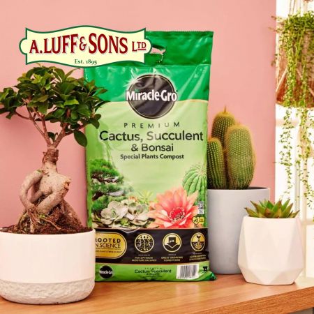 Miracle-Gro® Premium Cactus, Succulent & Bonsai Compost - image 2