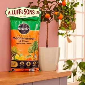 Miracle-Gro® Premium Mediterranean & Citrus Compost - image 2